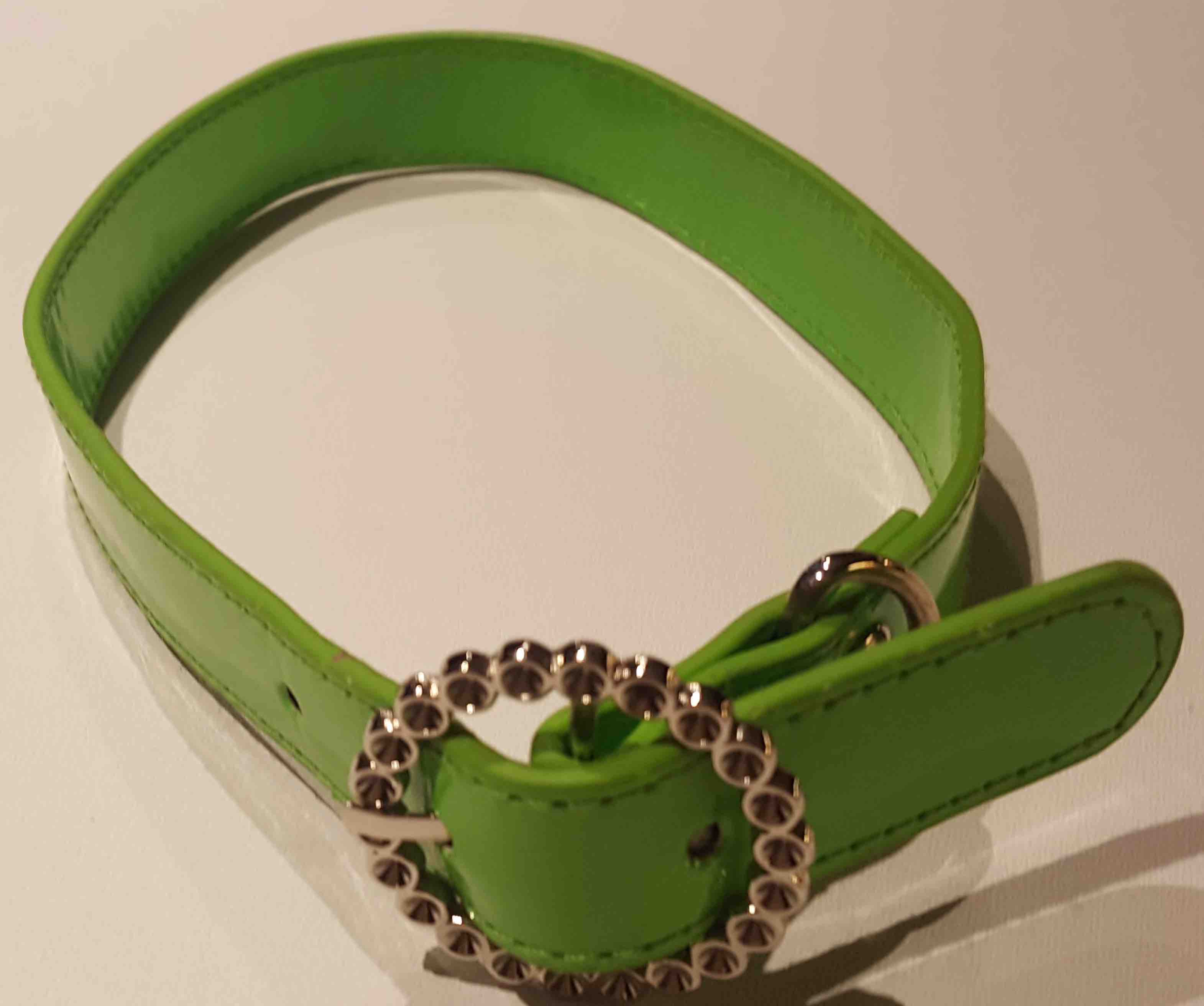 Shiny green collar